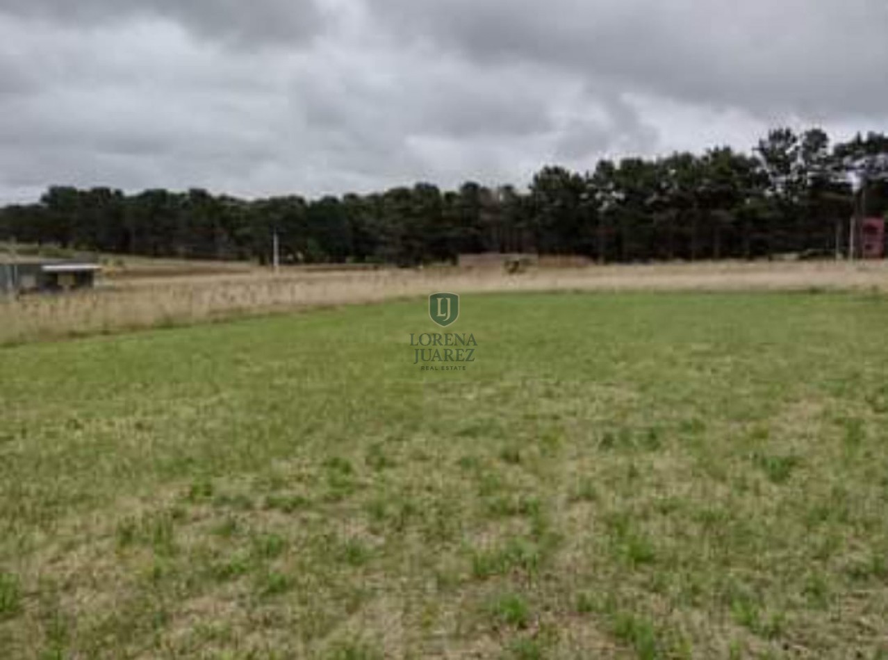 Lotes en el Marquesado 