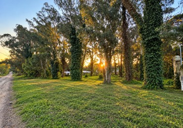 Excelente oportunidad 2 lotes en venta en el bosque
