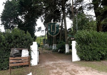 Los Castaños